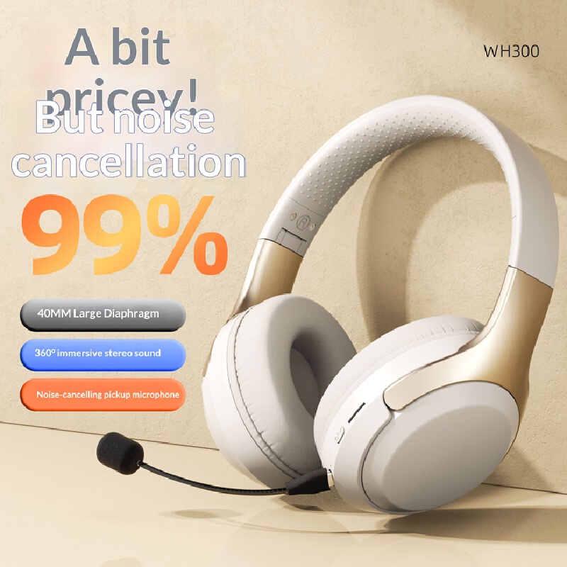 Auriculares inalámbricos Bluet - Laptop Accessories Officeworks reseña y precio